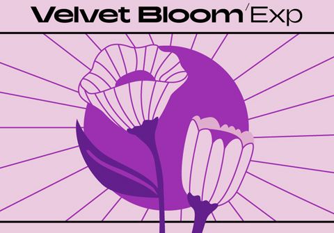 Native Instruments Velvet Bloom